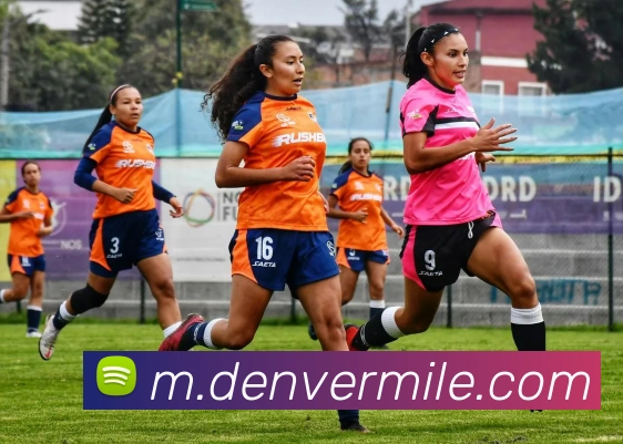 米乐m6服务体系